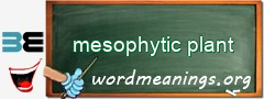 WordMeaning blackboard for mesophytic plant
